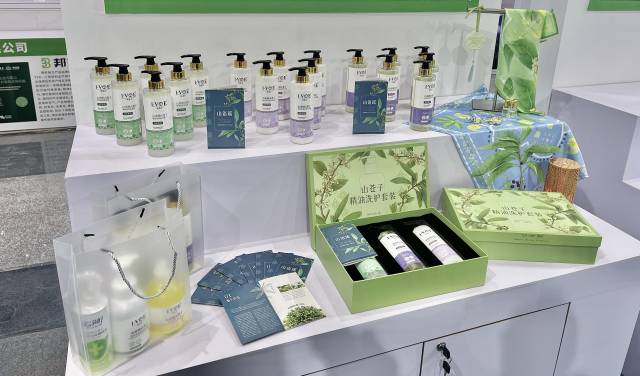 生:粤北山野“小辛香”如何迈向“大市场”PG电子麻将胡了2模拟器一颗山苍子的新(图4) 生:粤北山野“小辛香”如何迈向“大市场”PG电子麻将胡了2模拟器一颗山苍子的新(图4)